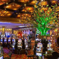 Kasino springbok com, Online přihlášení do kasina inclava, francouzská karetní hra populární v kasinech